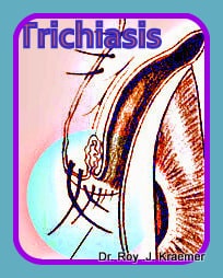 Eyelash and Corneal Ulcers in Bulldogs and French Bulldogs Trichiasis