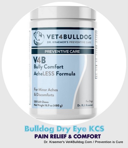 Bulldog Dry Eye KCS Pain Relief