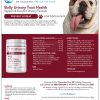 Eng Bulldog V4B Urinary Support Therapeutic Handout