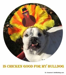 Is chicken food good for my bulldog