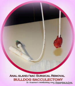 anal gland and sac removal