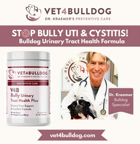 preventing bulldog cystitis and uti bully supplement