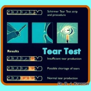 Dry Eyes in Bulldogs KCS TEAR TEST