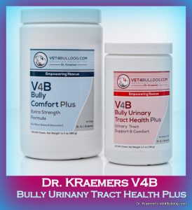 Urinary Stones in Bulldogs and French Bulldogs urinary supplement