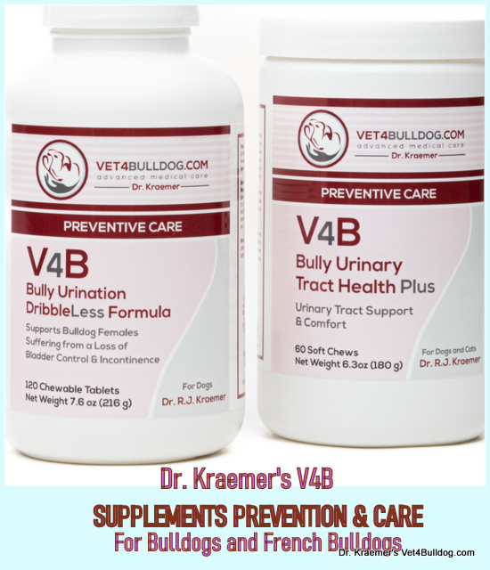 DR KRAEMER'S V4B BULLDOG SUPPLEMENTS MOST POPULAR FORMULATION