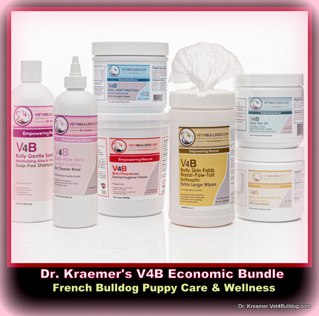 French Bulldog and French Bulldog Puppy Wellness Bundle