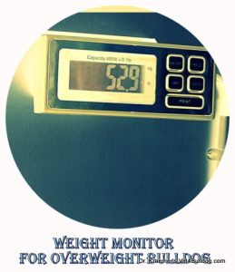 bulldog weight control monitor