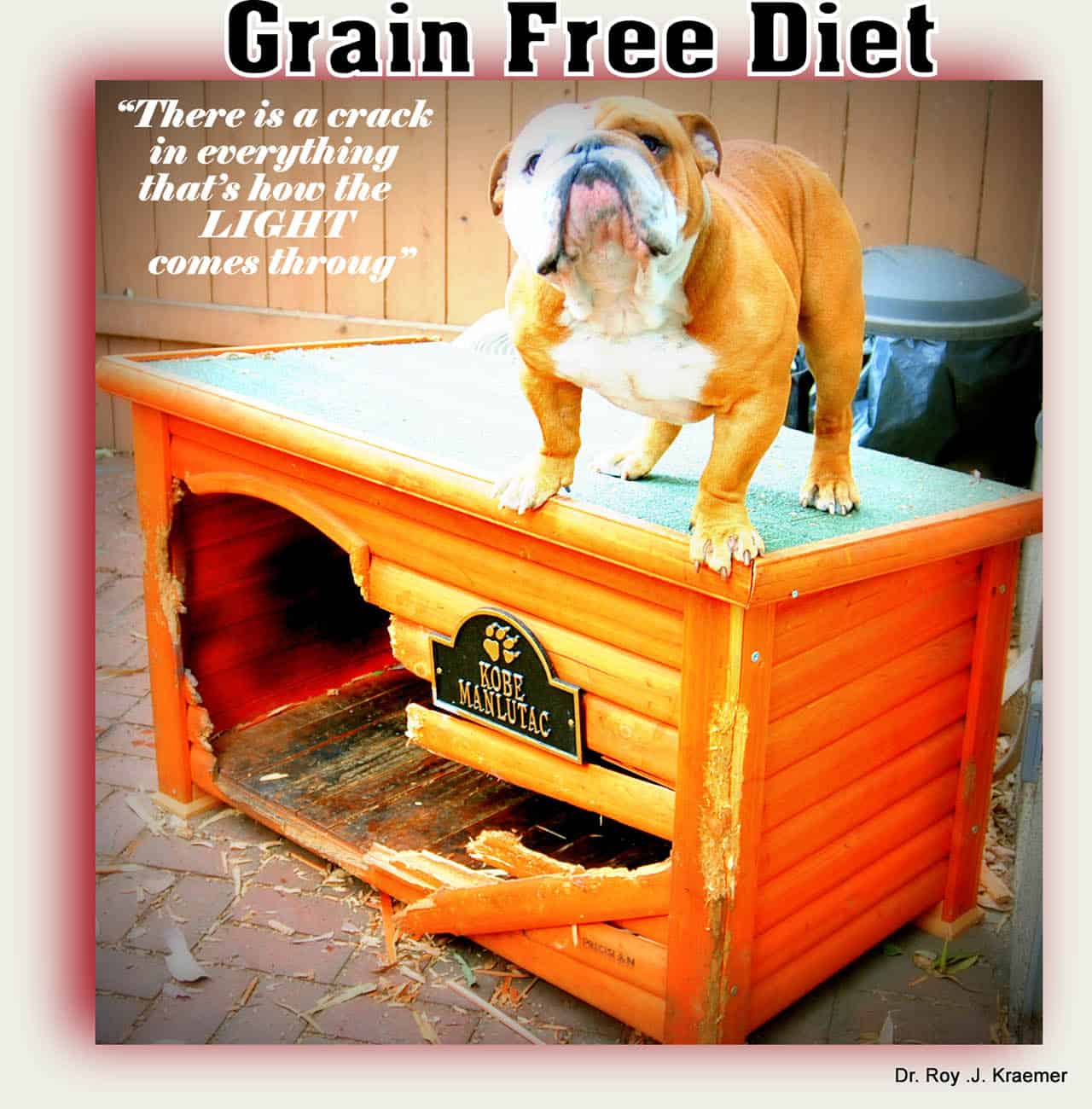 Grain Free French Bulldog Food VET4BULLDOG