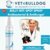 bulldog hot spot antiseptic spray
