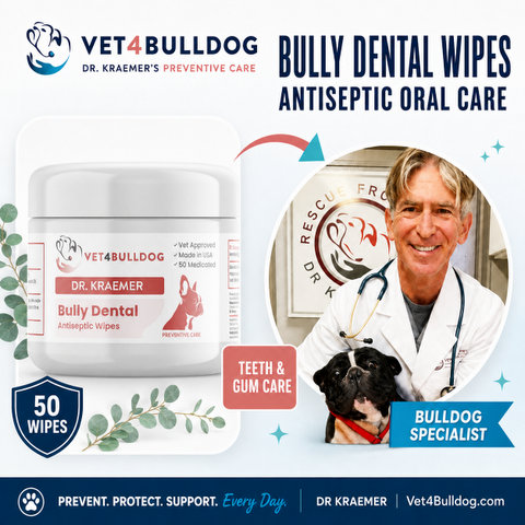 Dr. Kraemer, bulldog specialist, with V4B Bully Teeth & Gums Antiseptic Dental Wipes