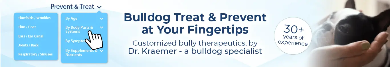 Bulldog in hands; menu options for canine health care.