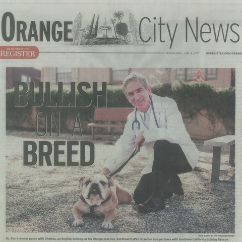 Dr. Kraemer Bulldog expert Local magazin