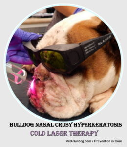 nose hyperkeratosis laser therapy