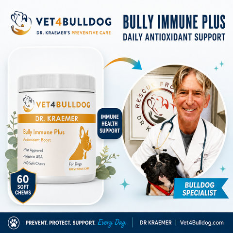 Dr. Kraemer, Bulldog specialist, with Vet4Bulldog Bully Immune Plus antioxidant support chews