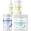 Bully Interdigital Cyst Essential Bundle with current 2026 Vet4Bulldog product labels