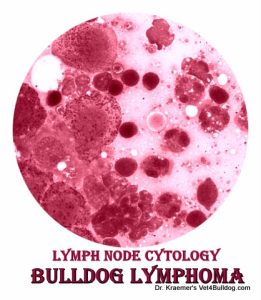 Bulldog Lymphoma cancer cytology