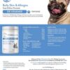 French bulldog skin and ears allergy handout