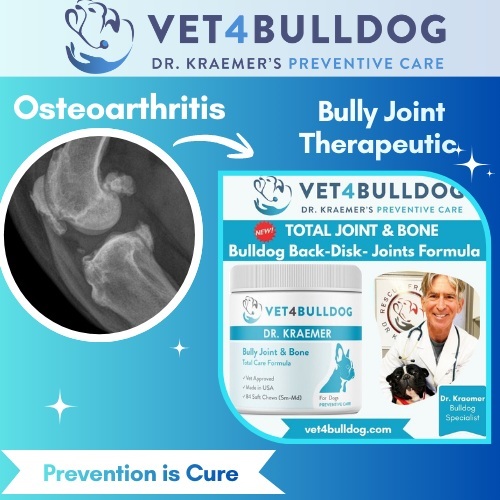 Ultimate supplement for arthritis