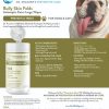 English Bulldog Antiseptic Skinfold XL Wipes Handout