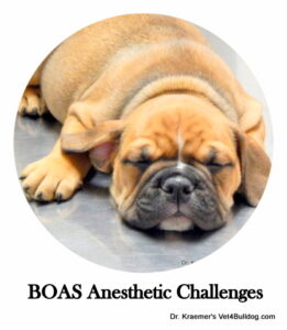 BOAS anesthetic challenges