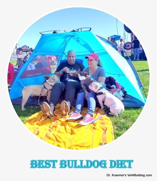 bulldogs best diet