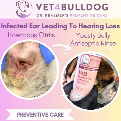 Yeast Bulldog ears Antiseptic Rinse