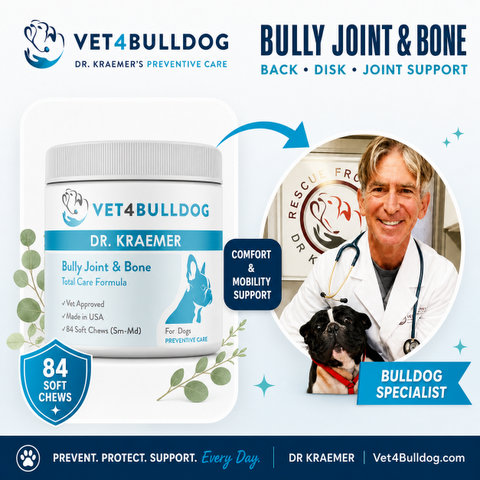 Dr. Kraemer, bulldog specialist, with V4B Bully Joint & Bone Total Care, small-medium, 84 soft chews