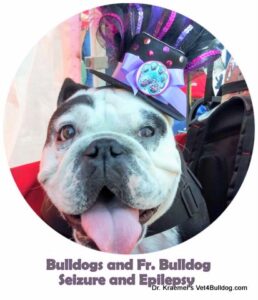 Seizure and Epilepsy in Bulldogs and Fr. Bulldog