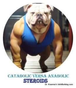 bulldog body builder anabolic steroid