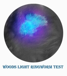 lldog ringworm woods light test