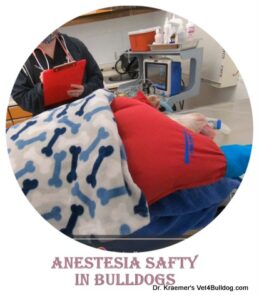 Bulldog anesthesia monitoring