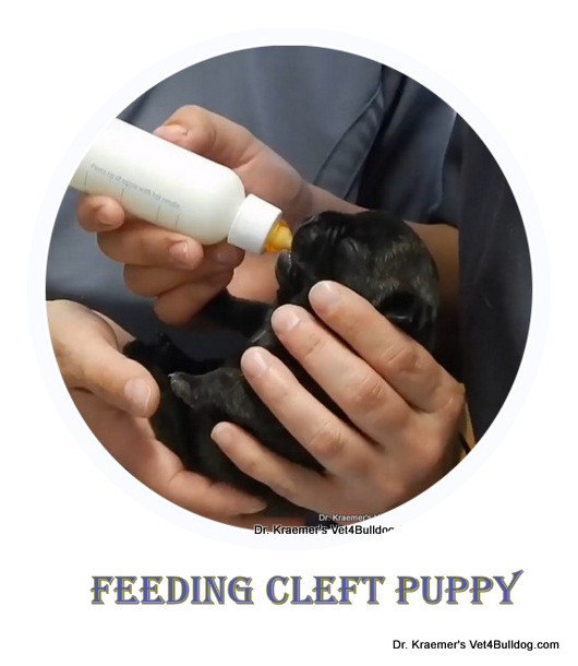 Cleft palate bottle feeding