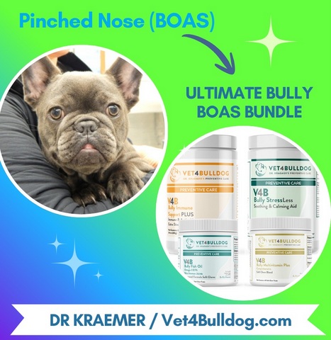 Fr. bulldog pinched nose ultimate bundle