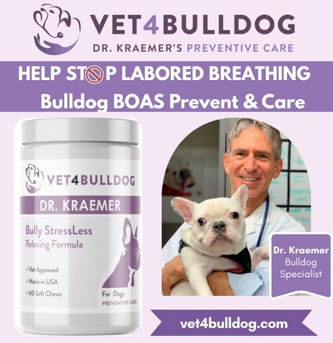 French bulldog pinched nose supplement