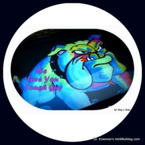 BOAS bulldog painting
