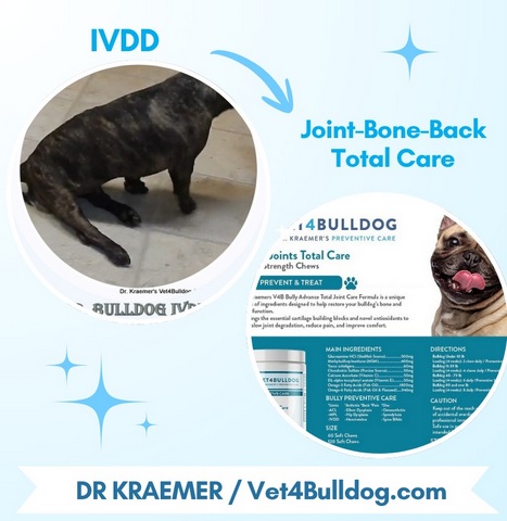 IVDD joint bone and back supplement