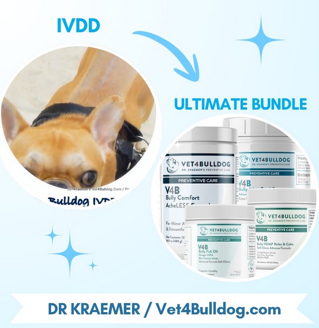 Bulldog IVDD ultimate therapeutic bundle