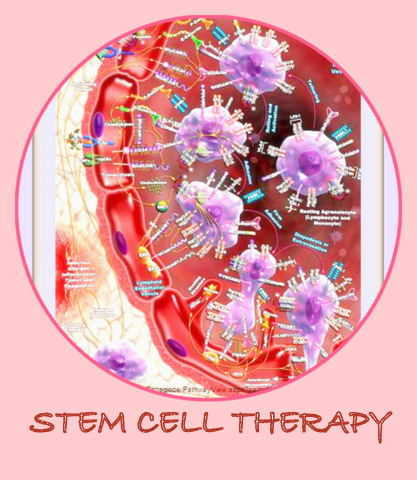 Stem Cell Therapy for Degenerative myelopathy in dogs