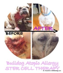 Atopic Allergy Stem Cell fore and after
