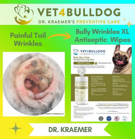 bulldog tail pocket best treatment and care
