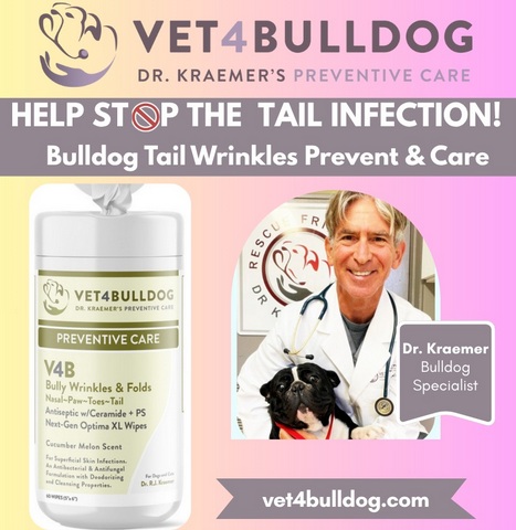 French Bulldog Antiseptic tail pocket wipe