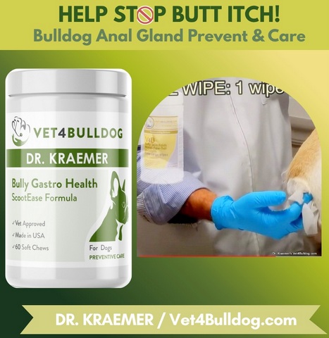 best anal gland impaction supplement