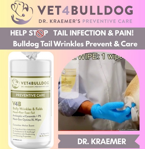 Bulldog and Fr. Bulldog Antiseptic XL Wrinkles Wipe