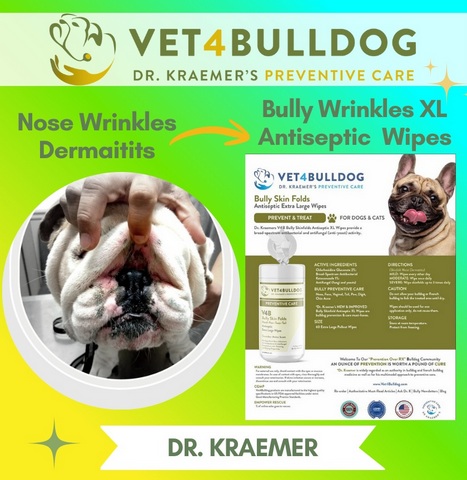 bulldog nose wrinkles antiseptic wipe care