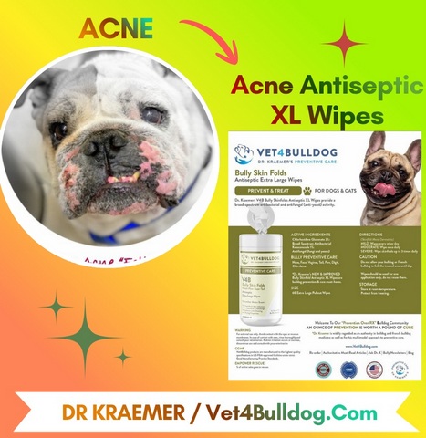 The best acne bully antiseptic wipes