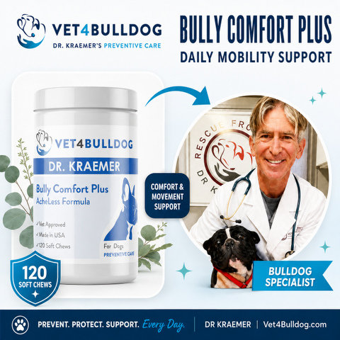 bully-comfort-plus-mobility-support