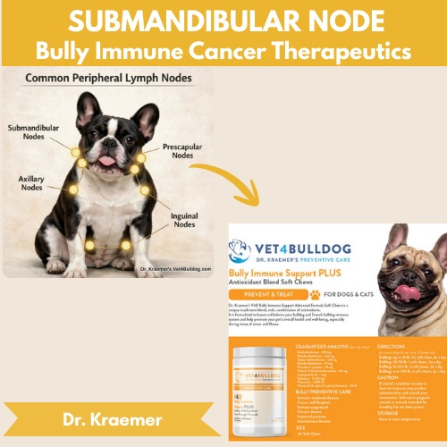 Lymphoma and cancer Fr bulldog immune support