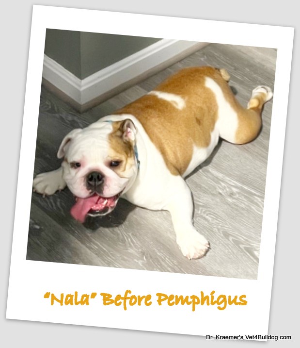 Nala before pemphigus
