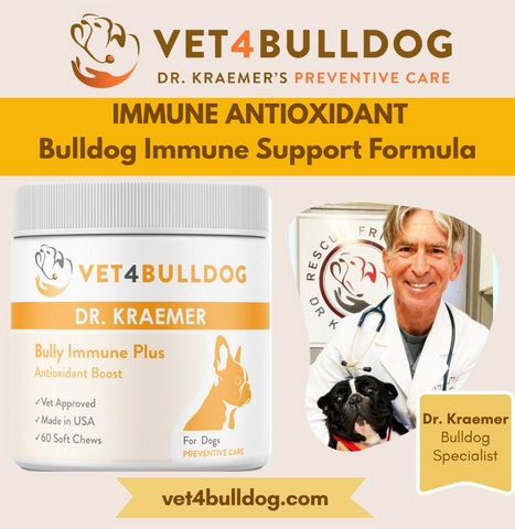 bulldog cancer immune supplement