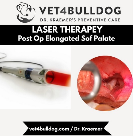 laser for elongated soft palate